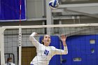 Volleyball vs Babson  Wheaton Women's Volleyball vs Babson College. - Photo by Keith Nordstrom : Wheaton, Volleyball, VB